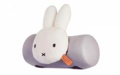 Coussin De Siège Avant Bébé Thule Yepp Mini